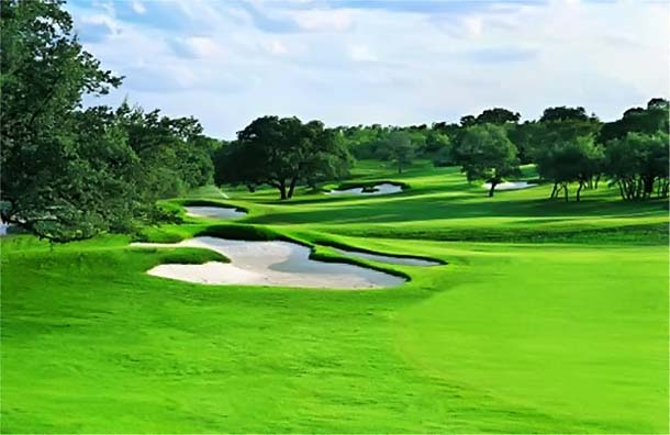 Campo de golfe com Zeon Zoysia: boa cobertura com cor intensa, menos água e menos fertilizantes