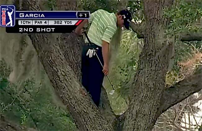 Sergio Garcia tornou-se um forte concorrente ao título de melhor jogada de golfe do ano em escalar uma árvore na raia do 10 do Bay Hill, e recolocar a bola de volta na ria jogando de costas e com uma só mão, neste domingo.