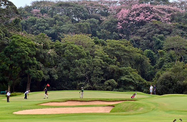 Campo de golfe do Country gaúcho: segunda parte do Sul-Brasileiro começa neste sábado