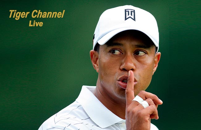 Tiger Channel: ESPN inova e vai mostrar tudo o que o jogador fizer no campo de golfe, em Hoylake