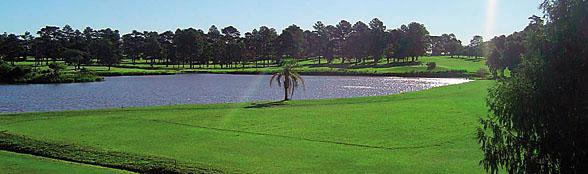 pelota campestre